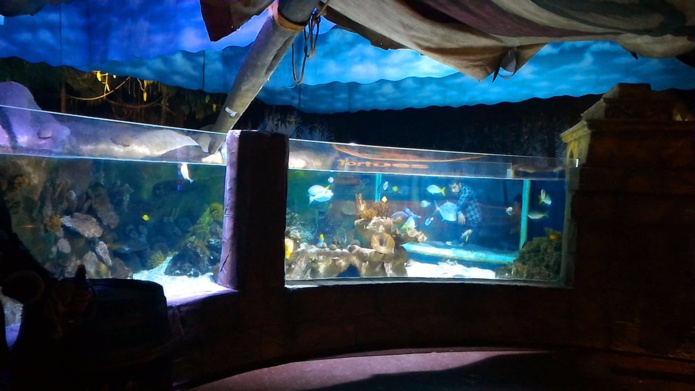 La zone tropicale riche d'espèces très différentes (©Sealife) La zone tropicale riche d'espèces très différentes (©Sealife)