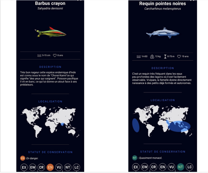Exemple de fiches sur les poissons reconnus (©Tiko)