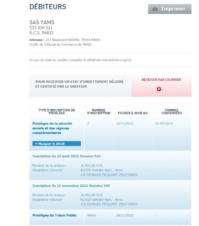 Les dettes d'Evasion Spirit vis à vis de l'Etat - Capture écran Les dettes d'Evasion Spirit vis à vis de l'Etat - Capture écran