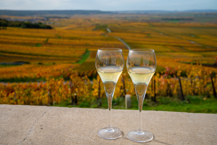 Reims célèbrera l'oenotourisme mondial en 2023 (©DR) Reims célèbrera l'oenotourisme mondial en 2023 (©DR)