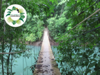 Quelle est la capitale du Costa Rica ? Quelle est la capitale du Costa Rica ?