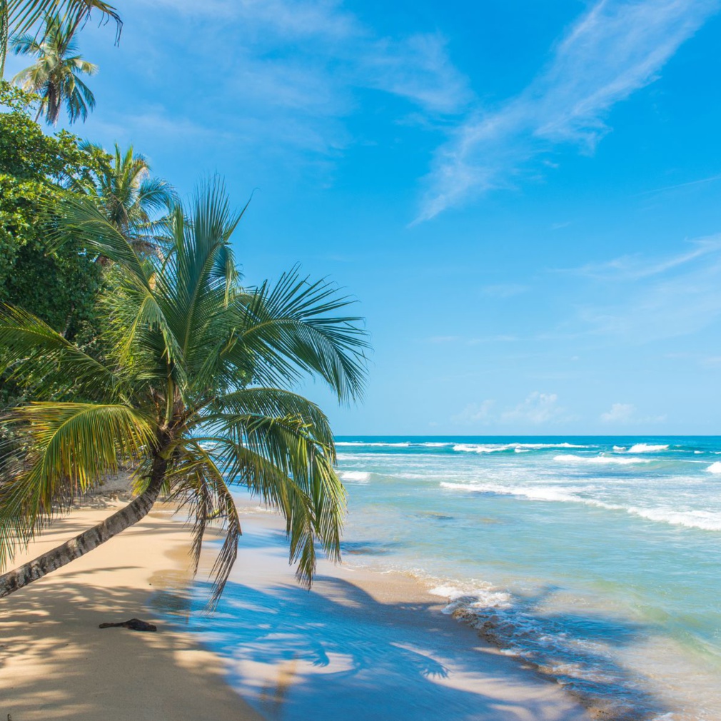 Costa Rica : Que faire et que visiter ?