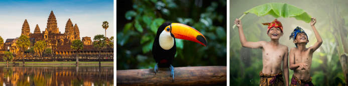 © Shutterstock © Shutterstock