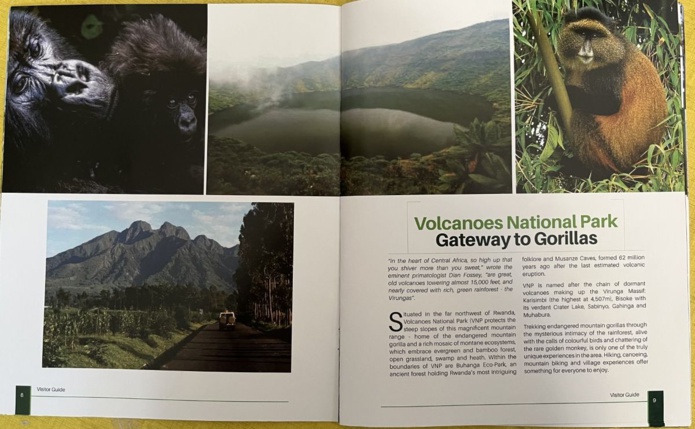 Dans le guide du visiteur édité par Visit Rwanda, le parc national des volcans est présenté comme la porte d'entrée pour les gorilles (@DR)