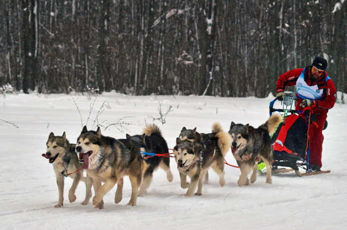 Si le ski alpin reste très populaire, les nouvelles activités gagnent du terrain (©DR) Si le ski alpin reste très populaire, les nouvelles activités gagnent du terrain (©DR)