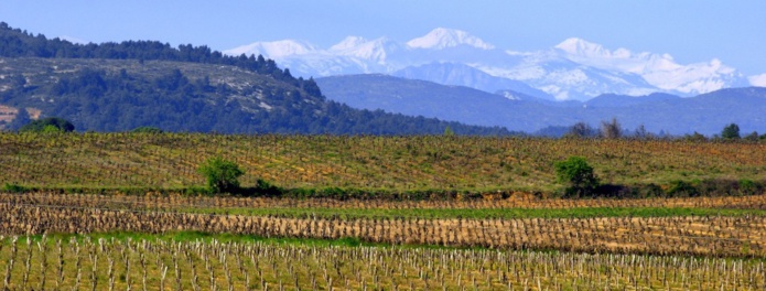 Paysage des Corbières en hiver (©AOC Corbières)