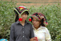 © Shutterstock © Shutterstock