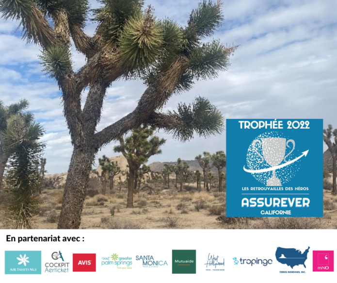 A la découverte du Parc National de Joshua Tree ©Trophée Assurever 2022 Californie A la découverte du Parc National de Joshua Tree ©Trophée Assurever 2022 Californie