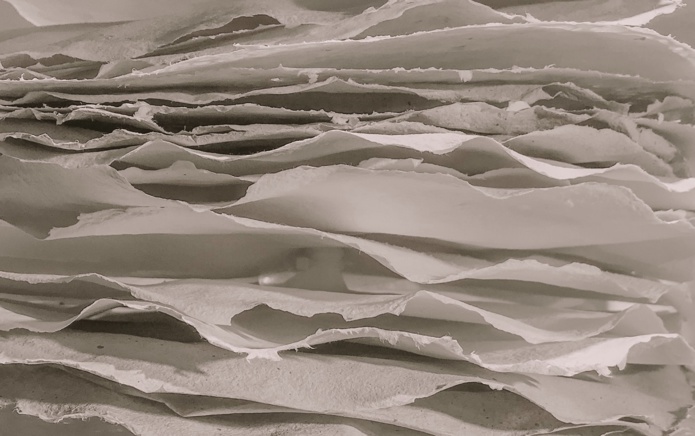 choisir un papier recyclé, au bon grammage et issu de forêts écogérées - photo : jan-antonin-kolar-unsplash choisir un papier recyclé, au bon grammage et issu de forêts écogérées - photo : jan-antonin-kolar-unsplash