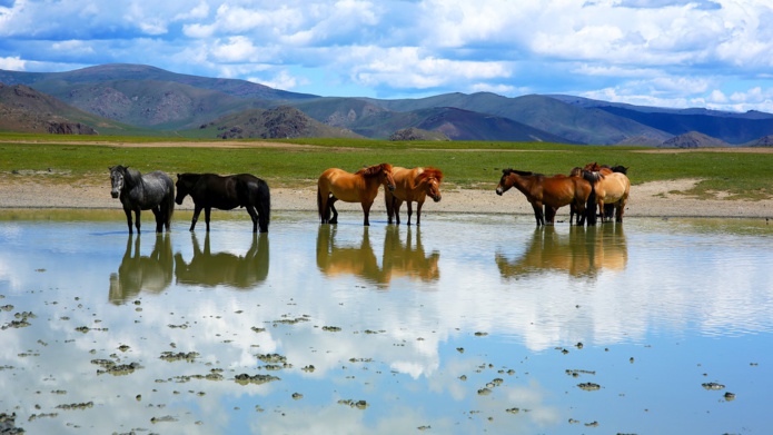 La Mongolie supprime le visa pour les Français et Européens Depositphotos.com Auteur kagemusha