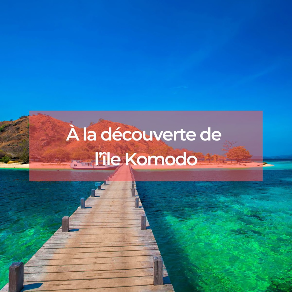 Découvrez Komodo pour une aventure inoubliable Découvrez Komodo pour une aventure inoubliable