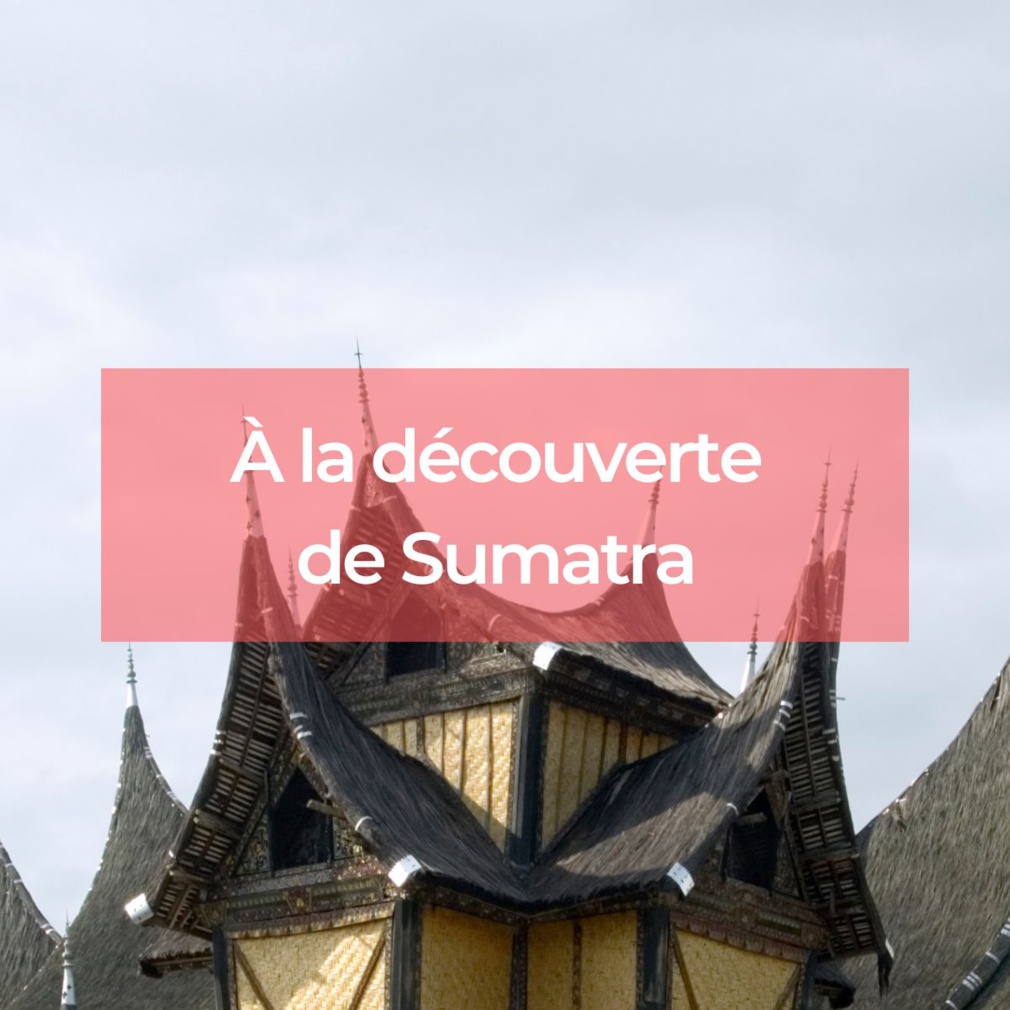 Sumatra : une nature préservée à couper le souffle Sumatra : une nature préservée à couper le souffle