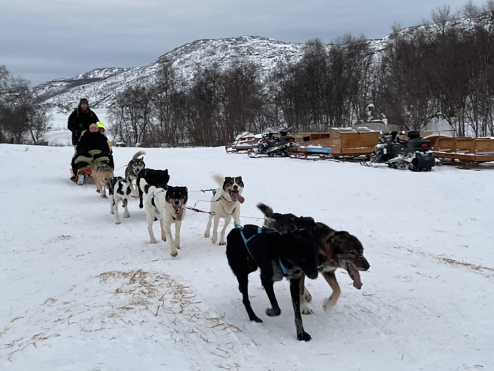 Balade en traineaux à chiens à Kirkenes (@PB)