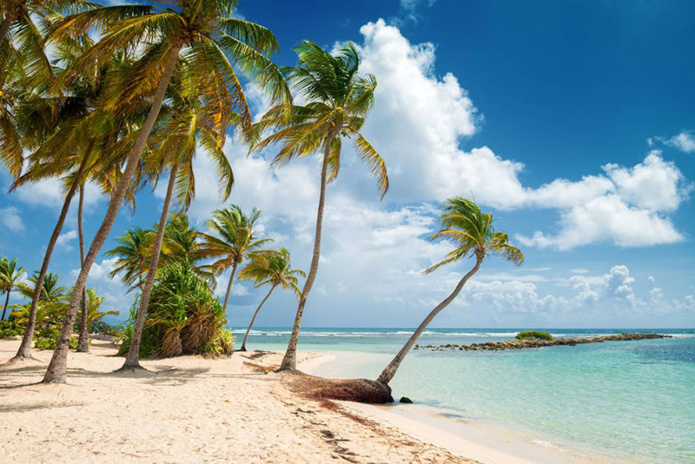 Marie-Galante, l'une des plus belles plages de la Guadeloupe © iStock