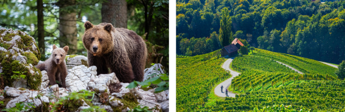 © Adobe Stock © Adobe Stock