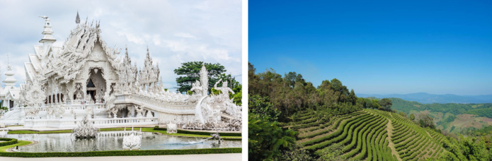 Le Temple Blanc / Mae Salong © Shutterstock