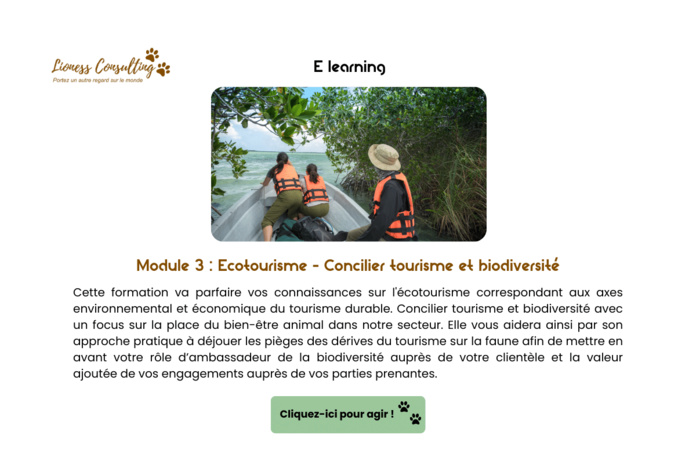 Le e-learning de Lioness Consulting a pour but d'aider à mieux appréhender la faune sauvage dans la création d'un séjour - CR : Lioness Consulting Le e-learning de Lioness Consulting a pour but d'aider à mieux appréhender la faune sauvage dans la création d'un séjour - CR : Lioness Consulting