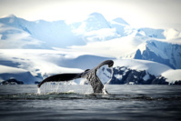 © Studio PONANT - Lorraine Turci © Studio PONANT - Lorraine Turci