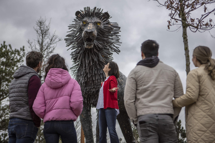 Aslan' (The Great Lion) - C.S Lewis Guided Walking Tour, Courtesy of Tourism Northern Ireland @DonalMaloney