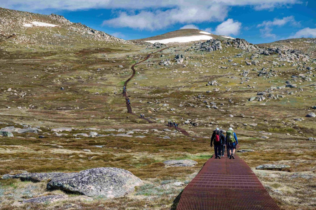 Sentier vers le mont Kosciuszko © Greg - stock.adobe.com