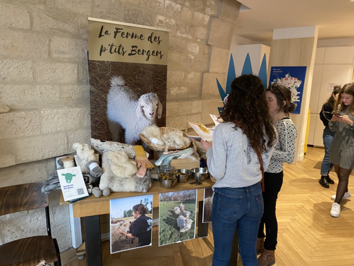 De la privatisation à l'accueil plus systématique des groupes (©BC) De la privatisation à l'accueil plus systématique des groupes (©BC)