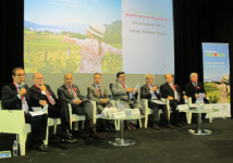 Destination Vignobles : une bonne récolte pour les réceptifs français 
