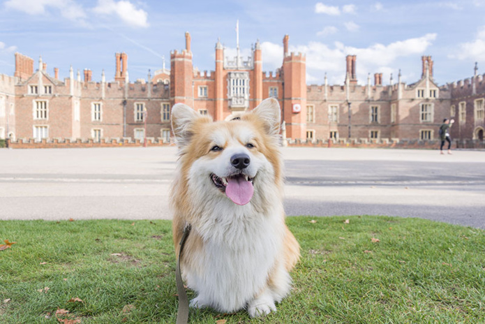 Hampton Court Palace à Londres © VisitBritain/Aurélie Four