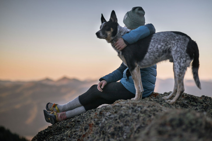 Quelles sont vos options lorsque vous voyagez avec un animal de compagnie ?