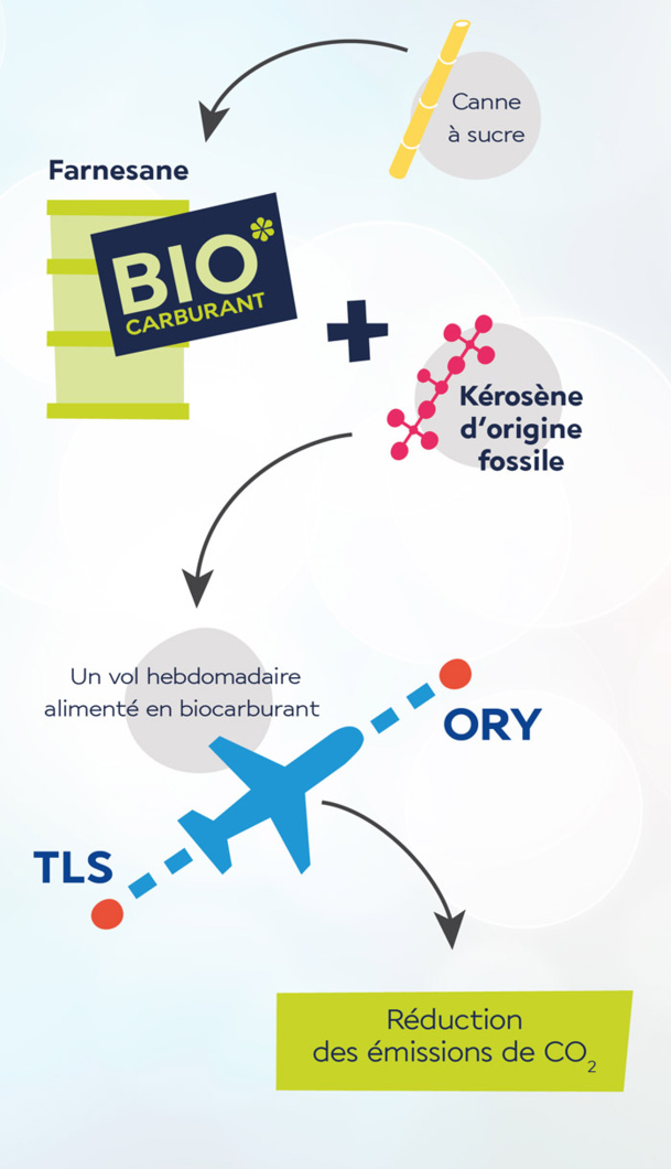Air France se met au biocarburant sur la ligne Toulouse - Paris-Orly