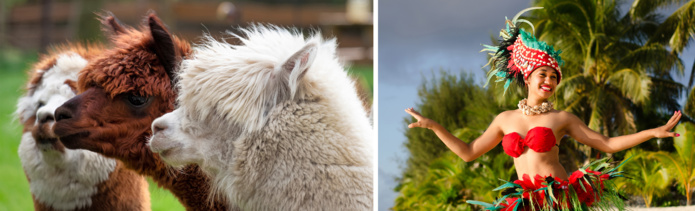 © Shutterstock © Shutterstock