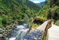 © shutterstock © shutterstock