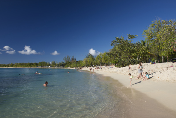 Le Comité du Tourisme des Iles de Guadeloupe (CTIG) a lancé une série d’outils digitaux pour aider la distribution à mieux vendre la destination.