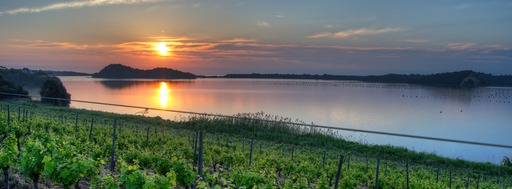 Coucher du soleil depuis les vignes du domaine Terra Vecchia (@DR)