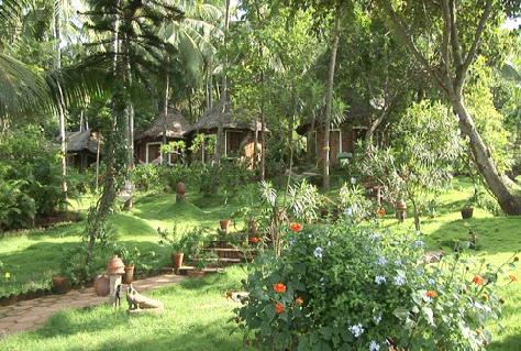 Des bungalows dans une nature préservée
