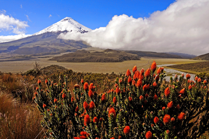 © Terra Ecuador