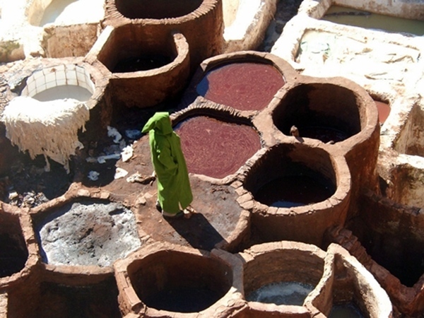 Au Maroc, tout est calme, luxe et volubilis… sans fous poilis ! Au Maroc, tout est calme, luxe et volubilis… sans fous poilis !
