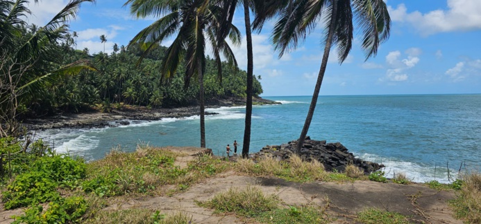 Paysage exotique de l'île Royale, îles du Salut (©BC)