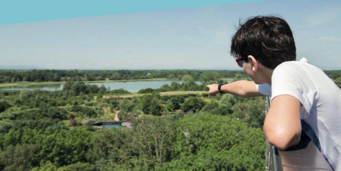 Des aménagements pour être au plus près de la faune (©Parc Oiseaux) Des aménagements pour être au plus près de la faune (©Parc Oiseaux)