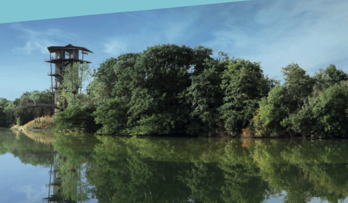 La fameuse Tour panoramique qui domine le parc (©Parc Oiseaux)