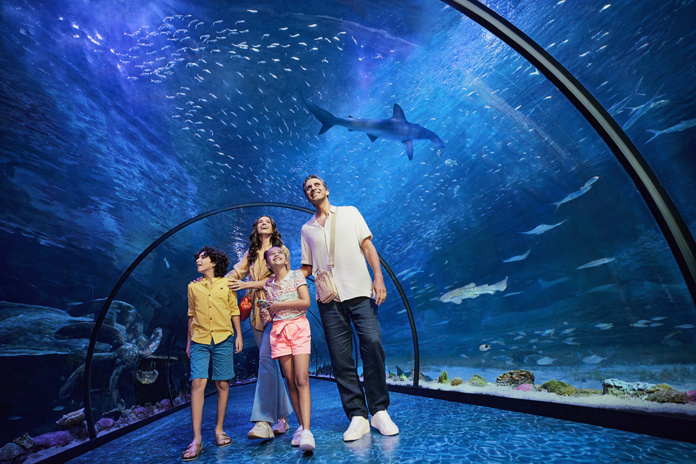 The National Aquarium Abu Dhabi © DCT Abu Dhabi