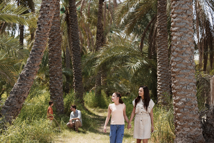 Oasis d’Al Ain © DCT Abu Dhabi