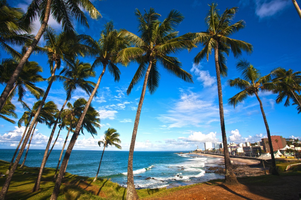 plage de barra salvador de bahia © snaptitude - stock.adobe.com