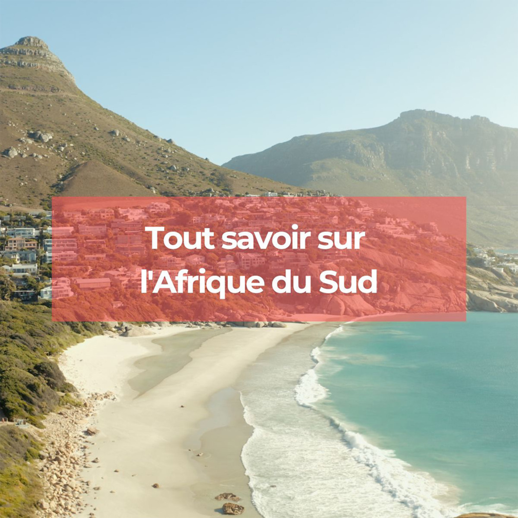 Afrique du Sud : la destination idéale pour vos prochaines vacances Afrique du Sud : la destination idéale pour vos prochaines vacances