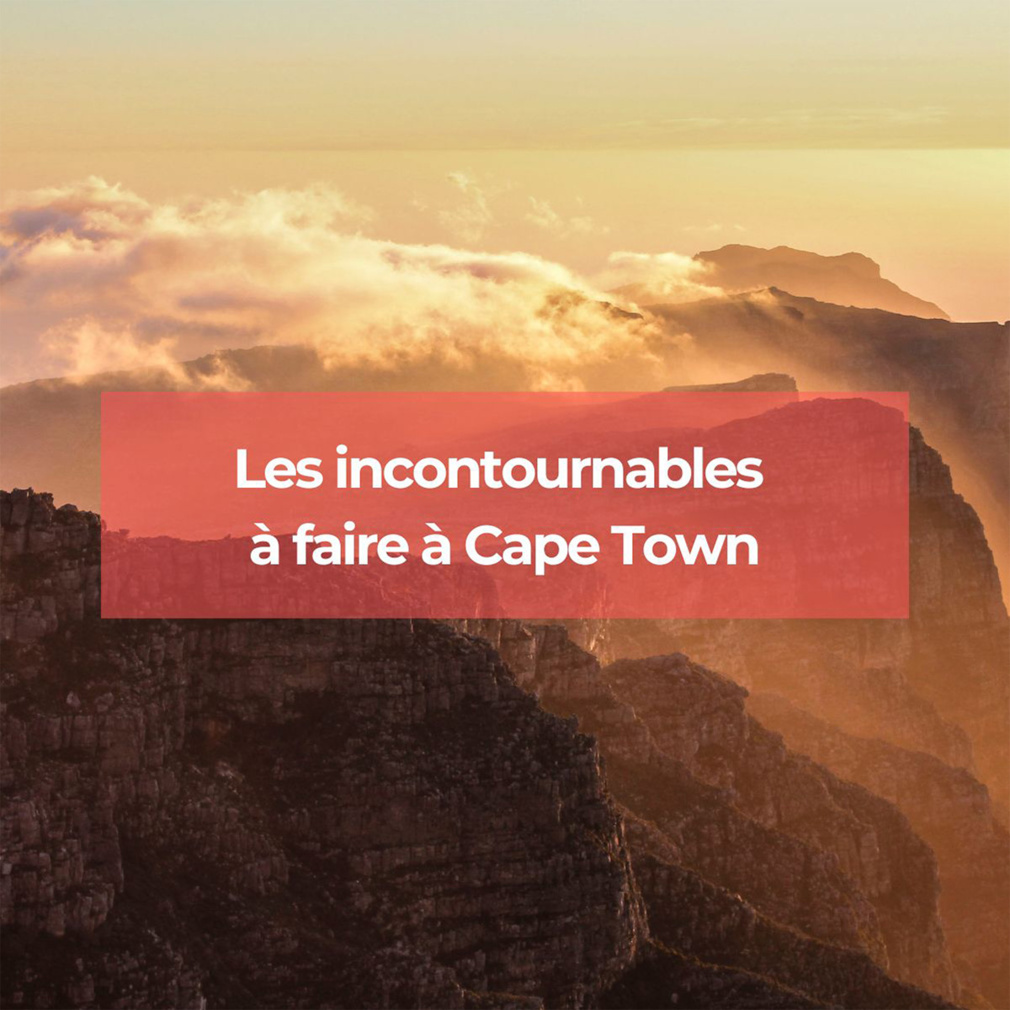 Voyage à Cape Town : voici les incontournables Voyage à Cape Town : voici les incontournables