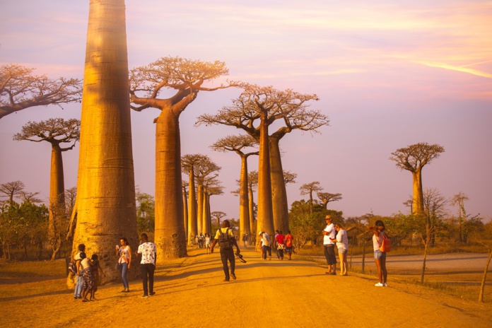 E-visa Madagascar : les touristes peuvent de nouveau demander un e-Visa pour voyager à Madagascar | Nok Lek Travel Lifestyle / Shutterstock.com