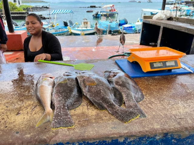Étal de poissons à Puerto Ayora. Des produits frais et locaux composent en priorité les menus sur le Santa Cruz II (@PB)