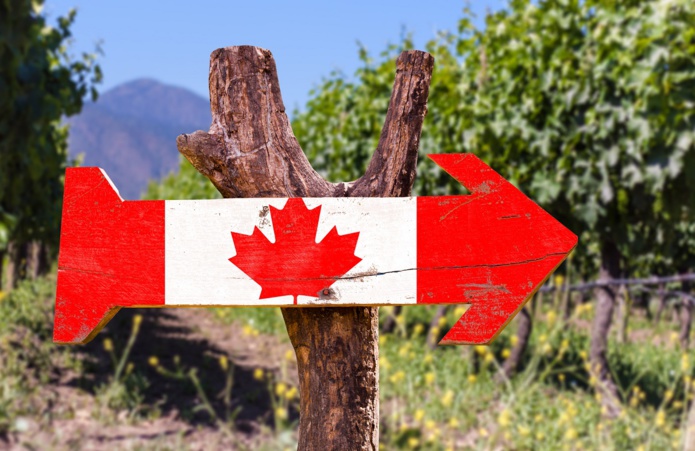 Webinaire : GVQ Canada donne rendez-vous aux pros le 25 avril 2023