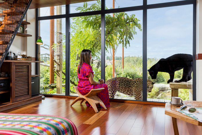 Un lodge ouvert sur l'enclos des jaguars (©Parrot World) Un lodge ouvert sur l'enclos des jaguars (©Parrot World)