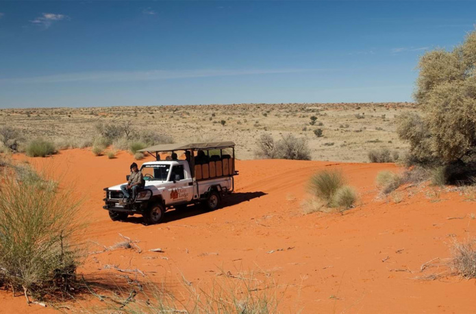 Parc du Kgalagadi © South African Tourism