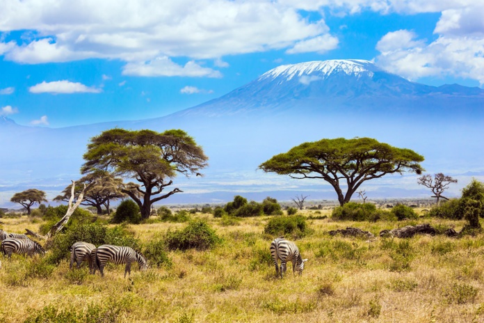 Plus de documents sanitaires liés au Covid à l'entrée au Kenya | Shutterstock